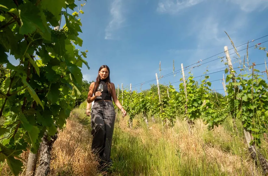 Weinbergwanderung mit Weinverkostung in Rheinland-Pfalz