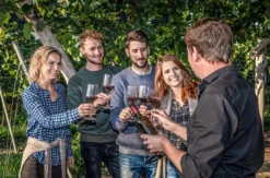 Weinbergwanderung & Weinprobe Raum Heidelberg für 2