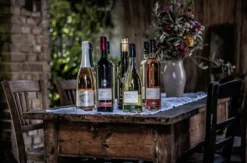 Weinbergwanderung & Weinprobe Raum Heidelberg für 2