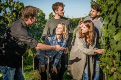 Weinbergwanderung & Weinprobe Raum Heidelberg für 2