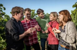 Weinbergwanderung Worms