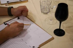 Wein Blind Tasting Frankfurt am Main