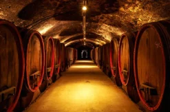 Weingut-Kurzurlaub an der Nahe für 2 (2 Nächte)