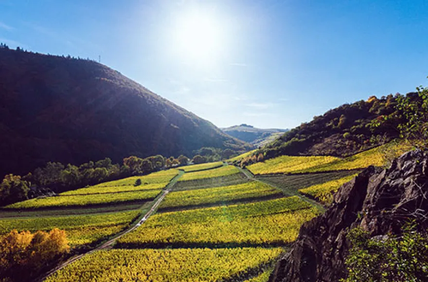 Weingut-Kurzurlaub an der Nahe für 2 (2 Nächte)
