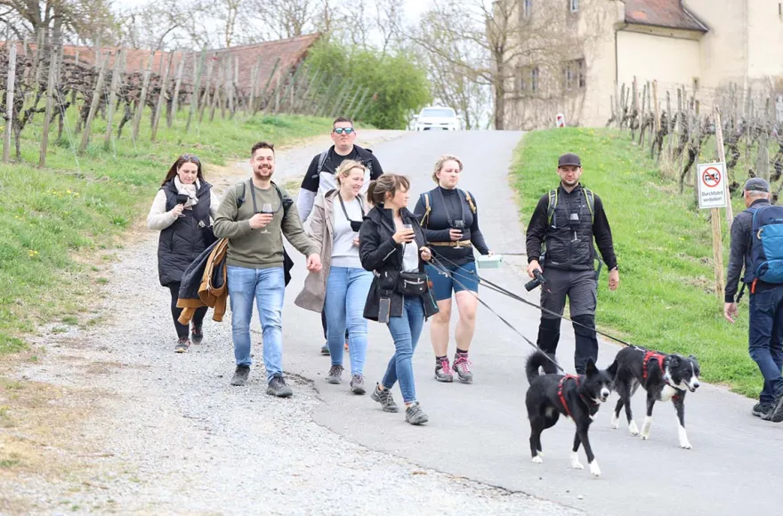 Wein-Jagd für 6 Personen