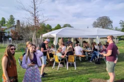 Weinprobe auf der Alpakaweide