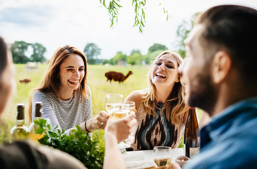 Weinprobe auf der Alpakaweide