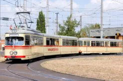 Weinprobe Düsseldorf
