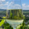 Weinprobe Lieser