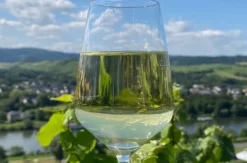 Weinprobe Lieser