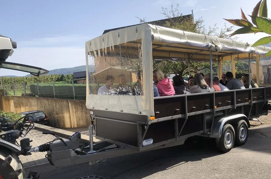 Weinprobe Lieser