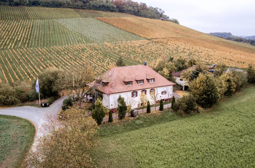 Weinprobe Maulbronn