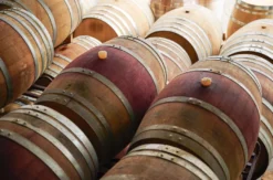 Weinprobe mit Kellerführung Rhodt unter Rietburg für 2