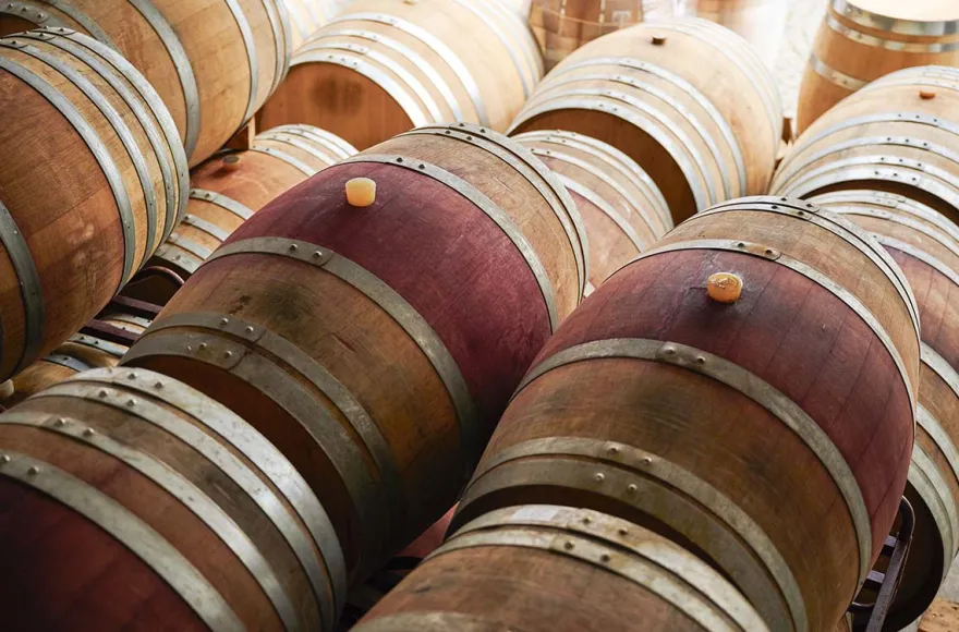 Weinprobe mit Kellerführung Rhodt unter Rietburg für 2