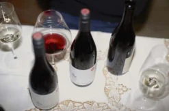 Weinprobe mit Kellerführung Rhodt unter Rietburg für 2