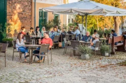 Weinprobe Naumburg