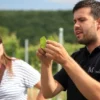 Weinprobe Schweinfurt