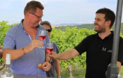 Weinprobe Schweinfurt