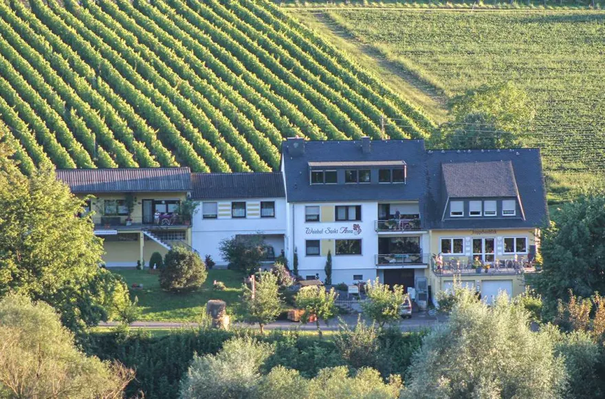Weinreise an die Mosel für 2 (2 Nächte)