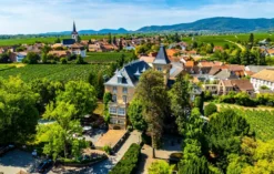 Weinreise Edesheim für 2 (2 Nächte)
