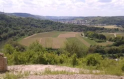 Weinreise Mesenich für 2 (2 Nächte)