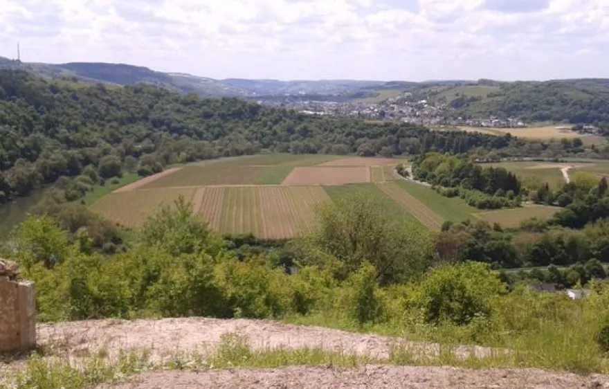 Weinreise Mesenich für 2 (2 Nächte)