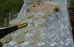 Weinreise Rohrbach für 2 (1 Nacht)