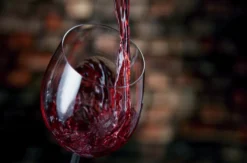 Wein & Schokoladen Tasting Hamburg