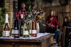 Wein & Schokoladen Tasting Worms