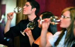 Weinseminar Basel (Weinbasics)
