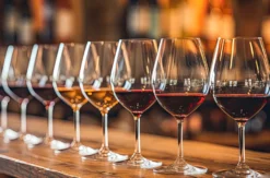 Weinseminar Bonn