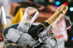 Weinseminar Einsteiger Bonn