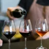 Weinseminar Einsteiger für 2
