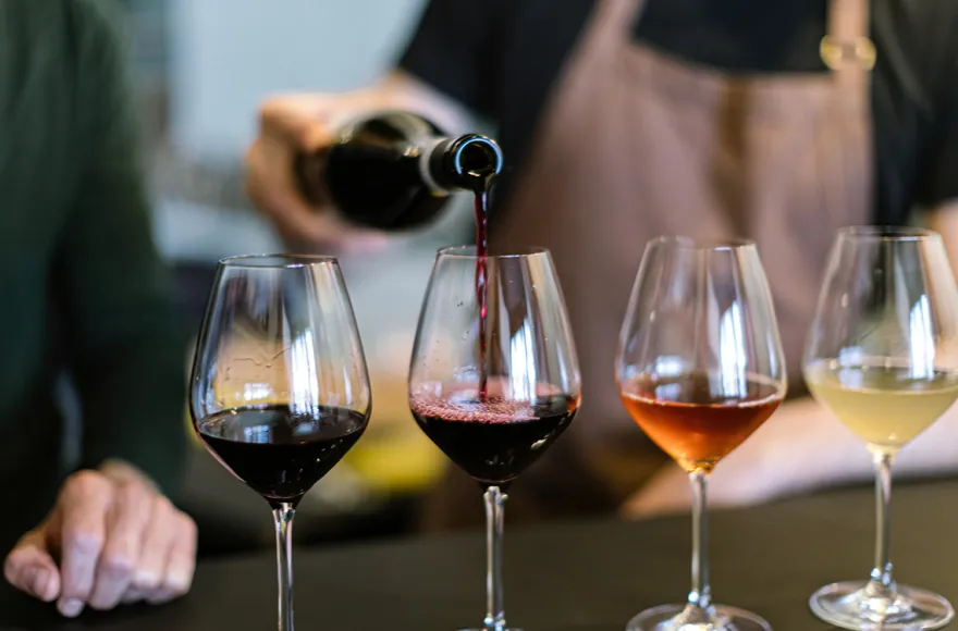Weinseminar Einsteiger für 2