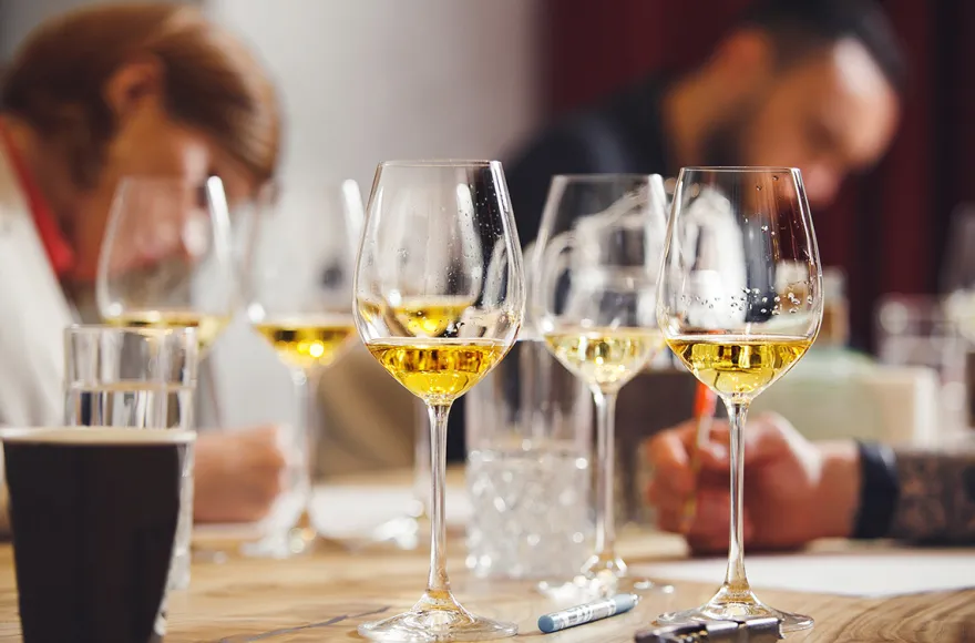 Weinseminar Einsteiger für 2