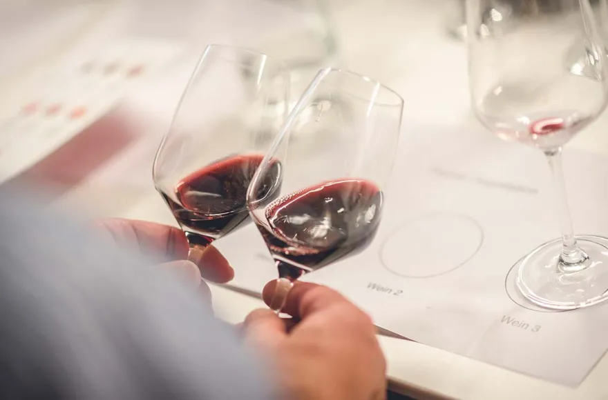 Weinseminar Einsteiger für 2 Bremen