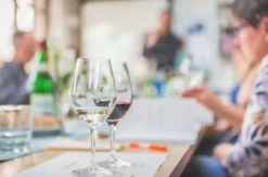 Weinseminar Einsteiger für 2 Kassel