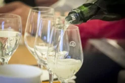 Weinseminar Einsteiger für 2 Liebefeld
