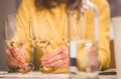Weinseminar Einsteiger für 2 Olten