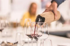 Weinseminar Einsteiger für 2 Solothurn