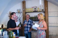 Weinseminar Einsteiger für 2 Willendorf