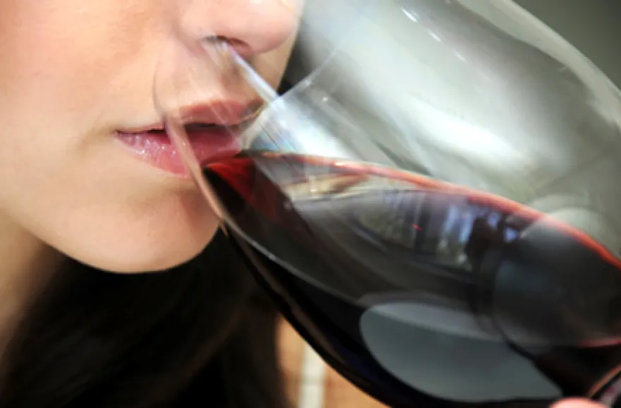 Weinseminar für Einsteiger