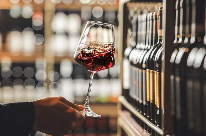 Weinseminar für Einsteiger Hamburg