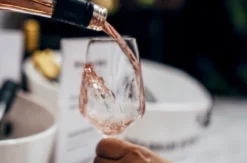 Weinseminar für Einsteiger Markt Nordheim