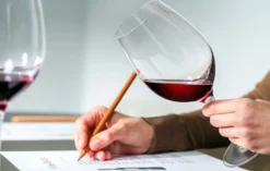 Weinseminar für Einsteiger Rauchwart