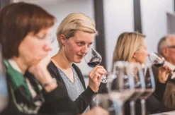 Weinseminar für Einsteiger Stuttgart