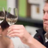 Weinseminar für Einsteiger Winterthur