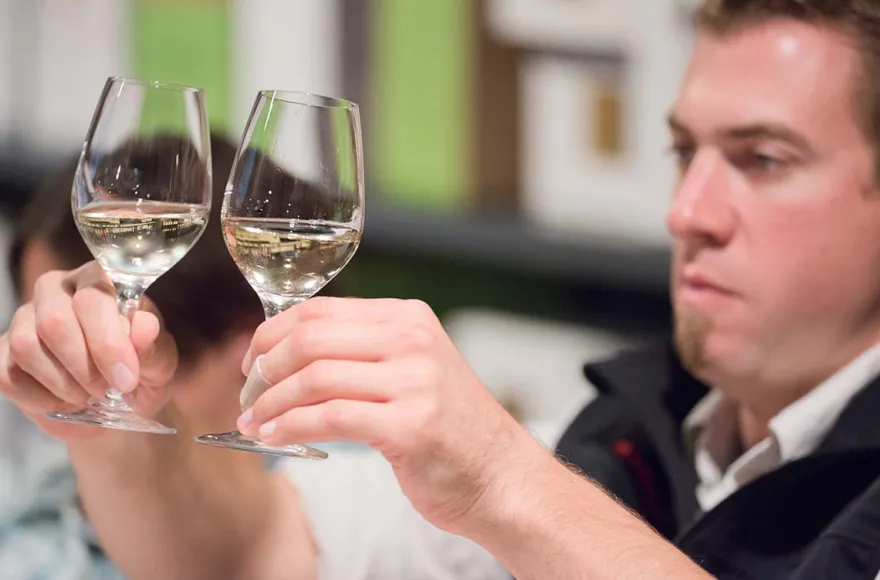 Weinseminar für Einsteiger Würzburg