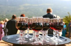 Weinseminar für Genießer
