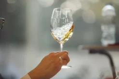 Weinseminar für Genießer für 2